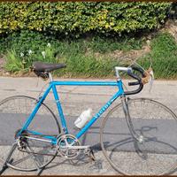 Bici Vicini — Struttura Tecnica da Corsa