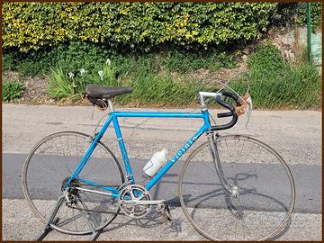 Bici Vicini — Struttura Tecnica da Corsa