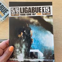 2 Dvd box cofanetto Ligabue