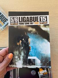 2 Dvd box cofanetto Ligabue