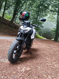 Honda Hornet 750