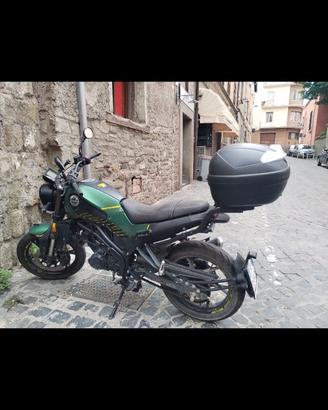 Leoncino benelli 125