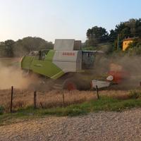 Mietitrebbia Claas Tucano 430 Montana 4