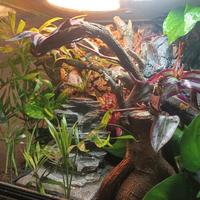 sfondo 3d effetto roccia