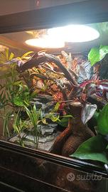 sfondo 3d effetto roccia