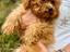 Immagine 3