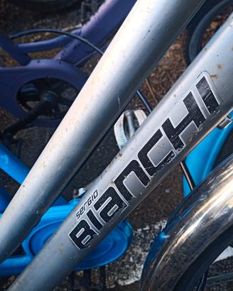 Citybike Sergio Bianchi silver 28" veloce leggera