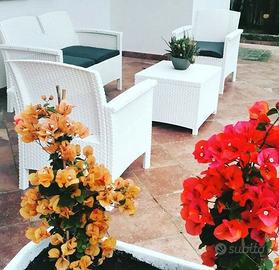 Villetta GARDEN SUITE Maratea