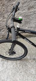 Surly "BIG DUMMY"