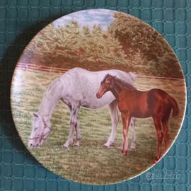 piatti da collezione 