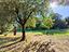 Immagine 16