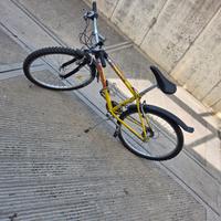 Bici da ragazzo