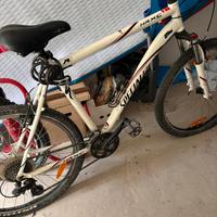 Bicicletta MTB specialized