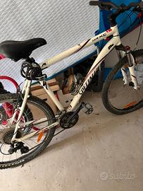 Bicicletta MTB specialized