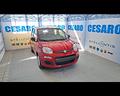 fiat-new-panda-1-0-hybrid-70cv