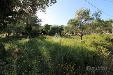 TER. AGRICOLO A CAMPOBASSO