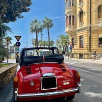 Collezione autobianchi bianchine