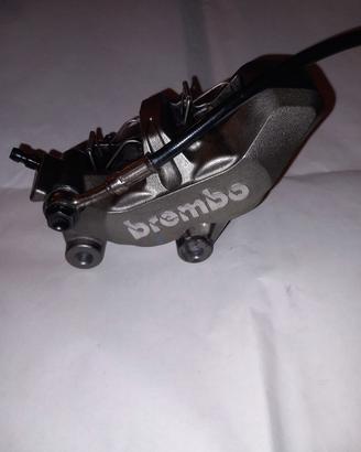 Pinza Brembo P4/34