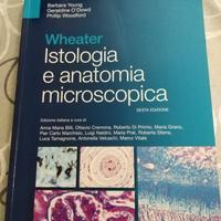 testo istologia e anatomia microscopica