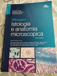 testo istologia e anatomia microscopica