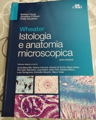 testo istologia e anatomia microscopica