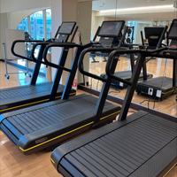 SKILLRUN  TECHNOGYM