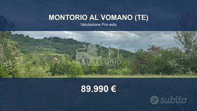 Immobile in asta di 8760 m² a Montorio al Vomano