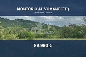 Immobile in asta di 8760 m² a Montorio al Vomano