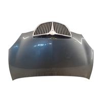 Cofano anteriore Lancia Ypsilon 2° del 2005 grigio