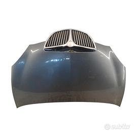 Cofano anteriore Lancia Ypsilon 2° del 2005 grigio