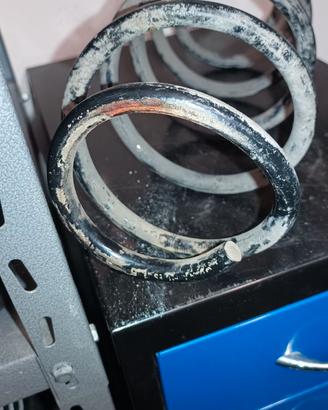 Molla ammortizzatori