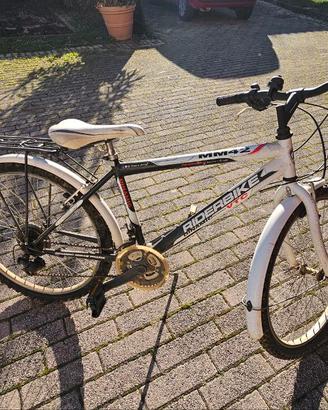 Mountain Bike Ragazzo Ruote 24"