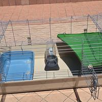 Gabbia e trasportino