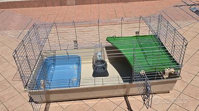 Gabbia e trasportino