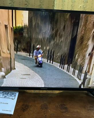 Tv led Nordmende 39 “