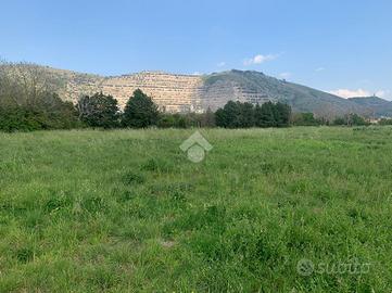 TER. AGRICOLO A CASERTA