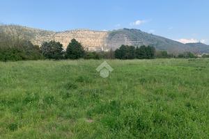 TER. AGRICOLO A CASERTA