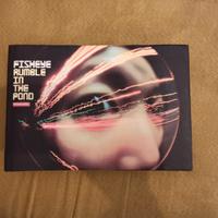 Lomography Fisheye Rumble in the pond