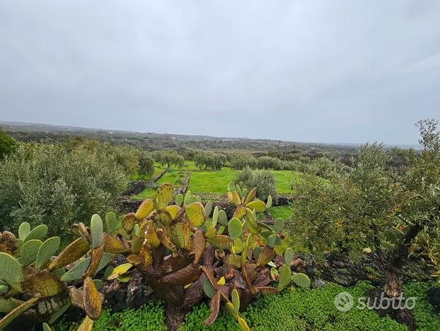 3,5 H. Terreno Con Deposito e Pozzo - Vista 3