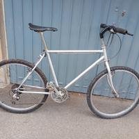 bicicletta MTB raggio 26