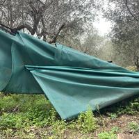 Ombrello di raccolta olive Berardinucci RMA1