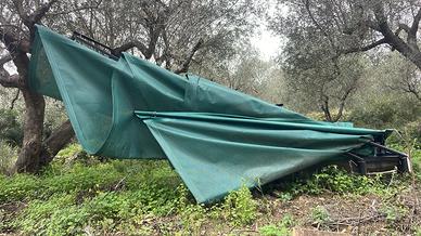 Ombrello di raccolta olive Berardinucci RMA1