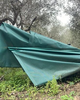 Ombrello di raccolta olive Berardinucci RMA1