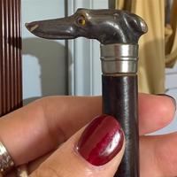 Antico levriero scolpito in corno manico ombrello