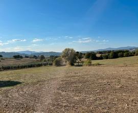 Terreno agricolo Cinigiano Grosseto Toscana