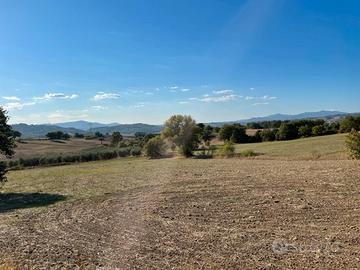 Terreno agricolo Cinigiano Grosseto Toscana