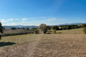 Terreno agricolo Cinigiano Grosseto Toscana