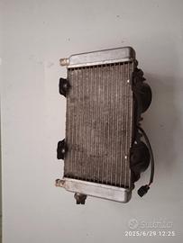 radiatore acqua Aprilia Atlantic 250