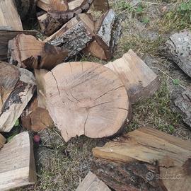 Legna da ardere NOCE formato stufa o caminetto