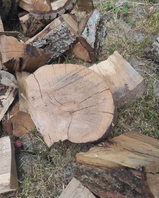 Legna da ardere NOCE formato stufa o caminetto